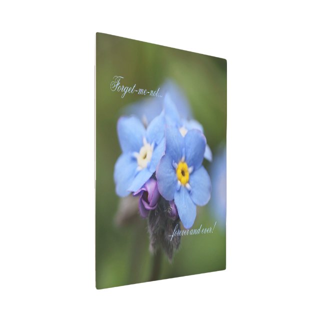 Forget-me-not forever and ever  metal print (3/4)