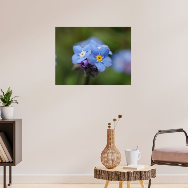 Forget-me-not forever and ever! poster (Living Room 3)