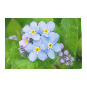 Forget-me-not, Laminated Placemat