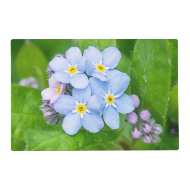 Forget-me-not, Laminated Placemat (Front)