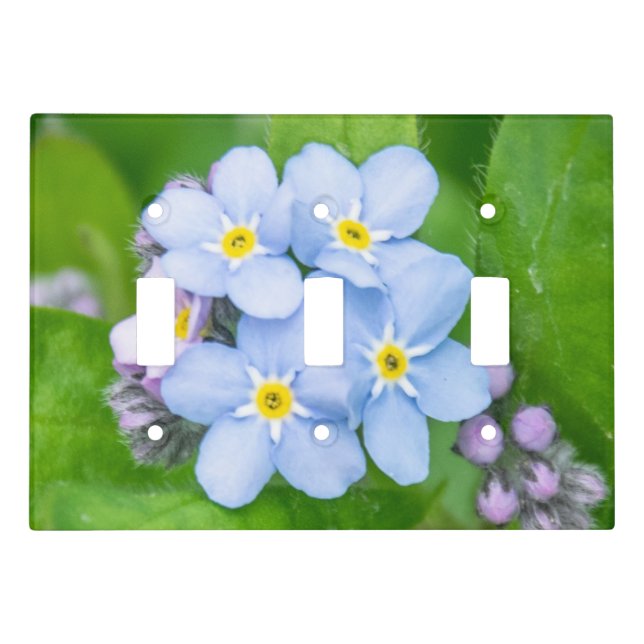 Forget-me-not Light Switch Cover (Front)