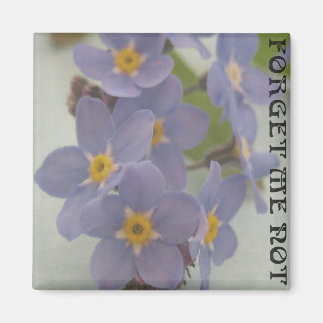 Forget me not magnet (Front)