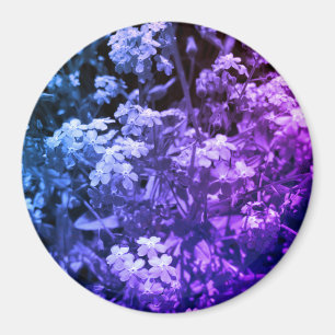 forget me not magnet