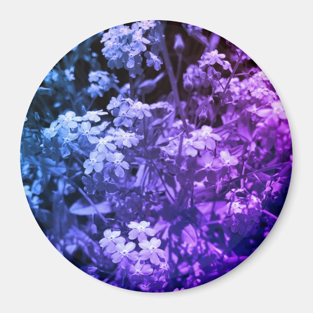 forget me not magnet (Front)