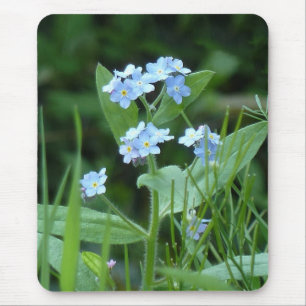 Forget-me-not Mouse Pad