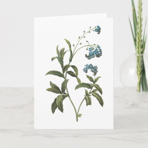 forget me_notMyosotis scorpioides by Redout Card