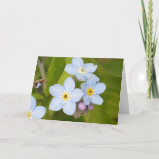 Forget-me-not notecard