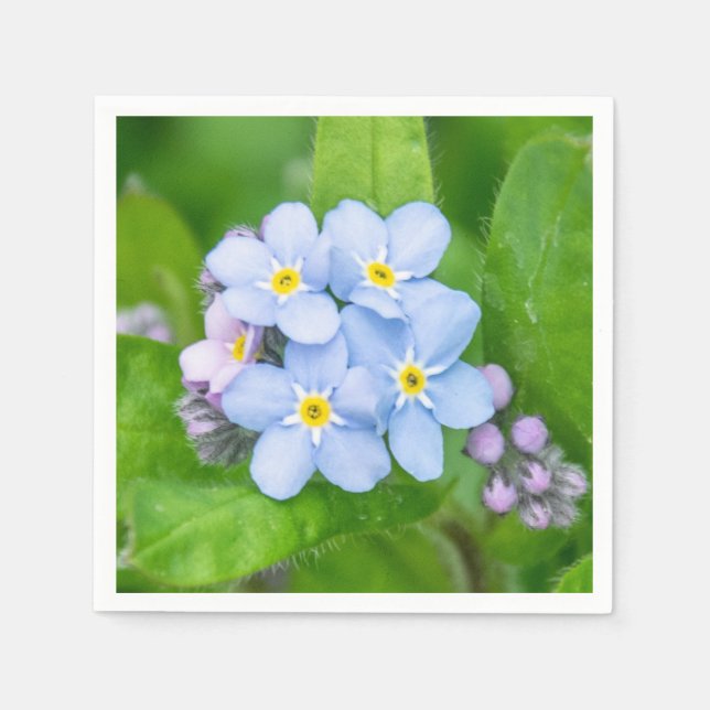 Forget-me-not, Paper Napkin (Front)