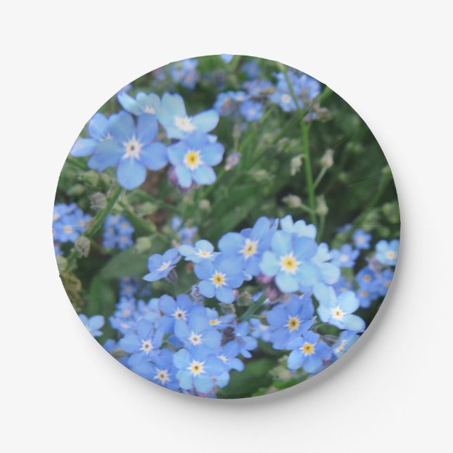 *Forget-Me-Not* Party Plates (Front)