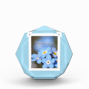 Forget-Me-Not photo on blue Award