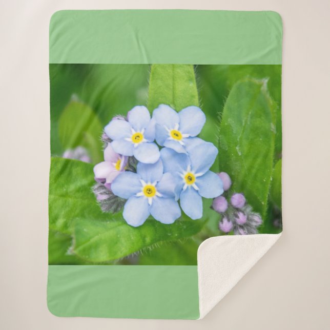 Forget-me-not Sherpa Blanket (Front)