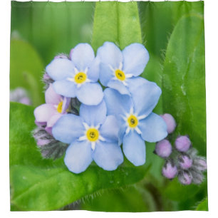 Forget-me-not Shower Curtain