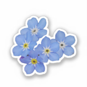 Forget Me Not Sticker