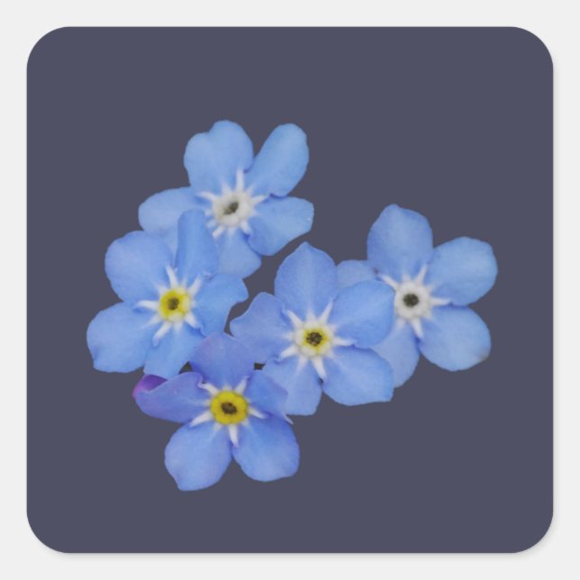 Forget Me Not Sticker (Front)