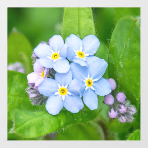 Forget-me-not, Wall Decal