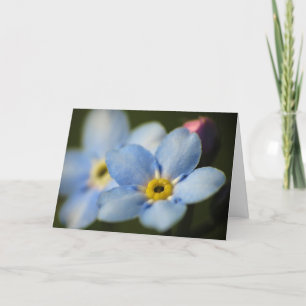 Forget-Me-Nots 12 Sympathy Card