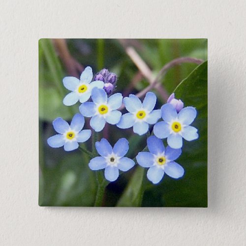 Forget Me Nots 2 Button