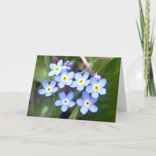 Forget Me Nots 2 Greeting Card