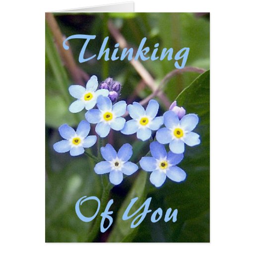 Forget Me Nots 2 Greeting Card | Zazzle