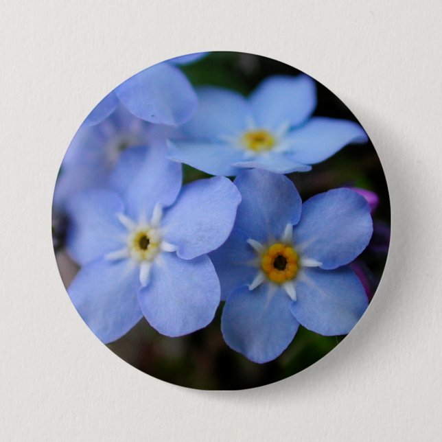 Forget Me Nots Blue Flowers Button (Front)
