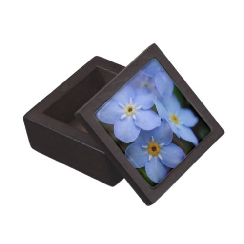 Forget Me Nots Blue Flowers Gift Box