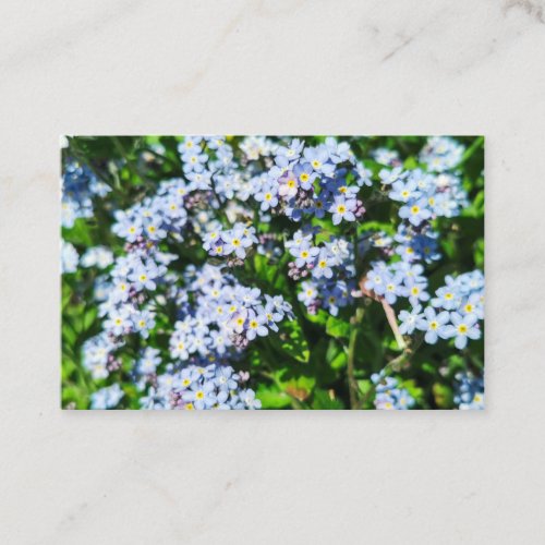 Forget_Me_Nots  Business Card