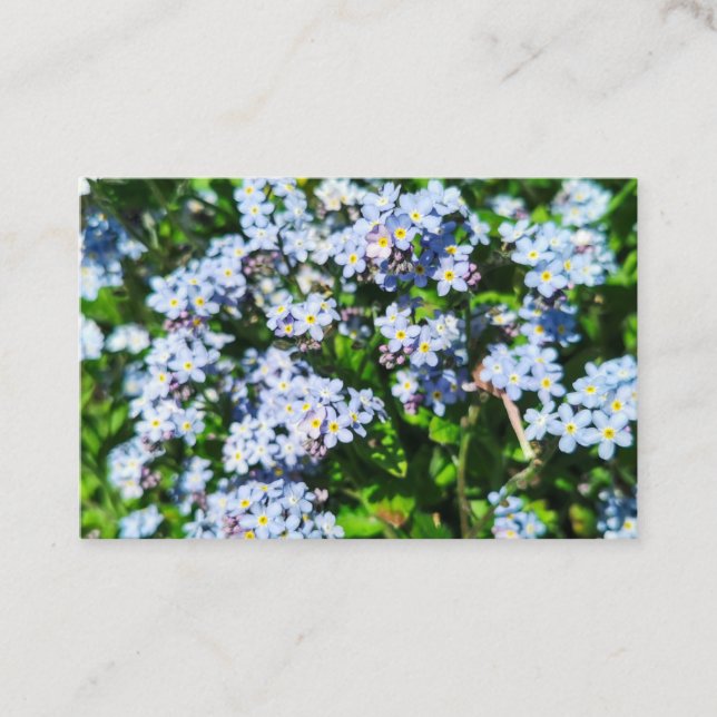 Forget-Me-Nots  Business Card (Front)