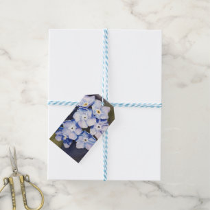 FORGET-ME-NOTS FLOWER GIFT TAGS