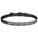 Forget Me Nots Pet Collar