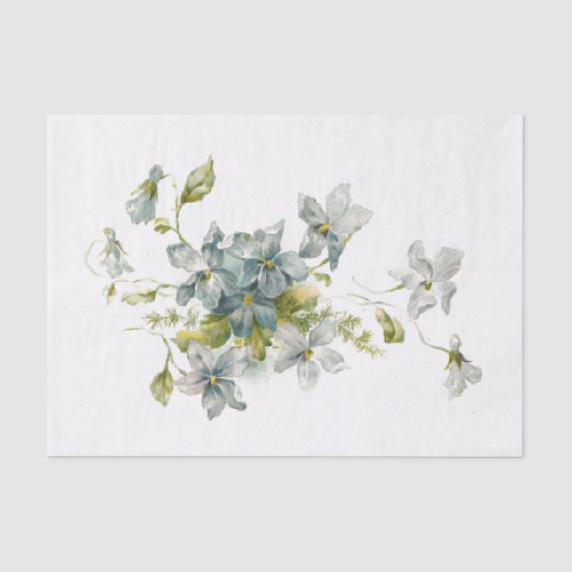 Forget Me Nots Tissue Paper (Front)