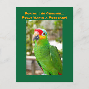 Forget the Cracker, Polly Wants a Postcard, Parrot Postcard