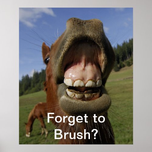 Forget to Brush Poster