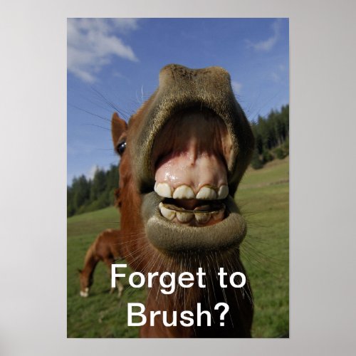 Forget to Brush Poster