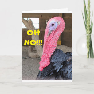 ****FORGET TURKEY**** FOR THANKSGIVING SAYS TURKEY HOLIDAY CARD