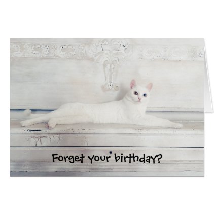 Forget Your Birthday? Kitty Cat Card