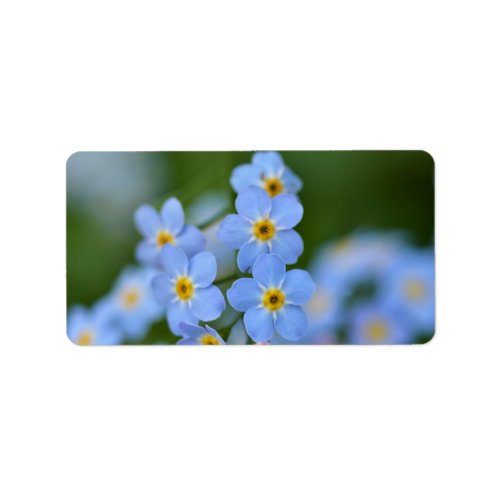 Forgetmenot             label