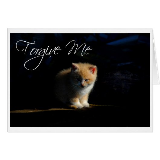 Forgive Me (Front Horizontal)