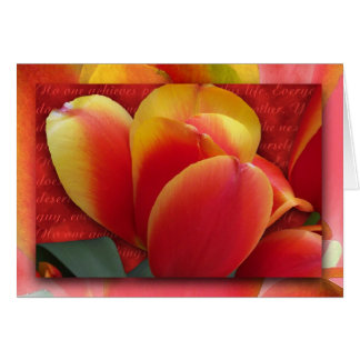 Forgive Yourself Cards