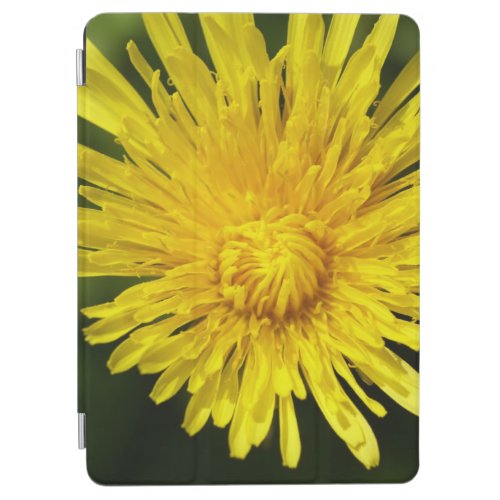 Forgotten Beauty Floral iPad case