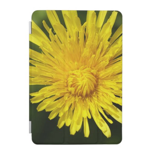 Forgotten Beauty Floral iPad case