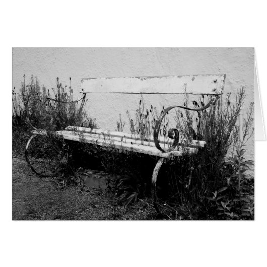 forgotten bench cards (Front Horizontal)