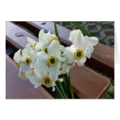 forgotten bouquet (Front Horizontal)