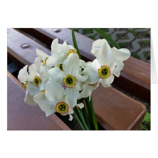 forgotten bouquet (Front Horizontal)