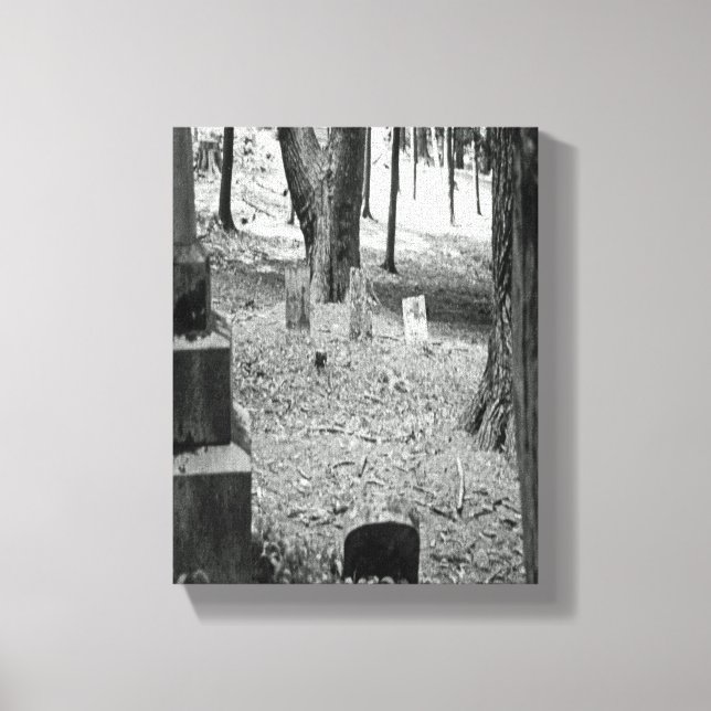 Forgotten Grave Canvas Print (Front)