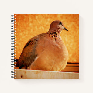 Forgotten Memories Notebook