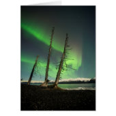 Forgotten Spruce Aurora (Front)