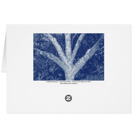Forked Branches - Cyanotype Effect (Back Horizontal)
