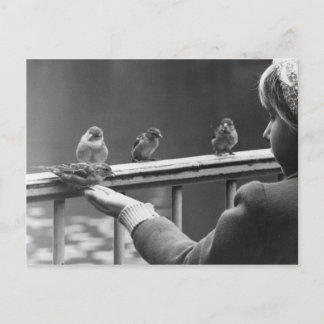 Form an orderly queue postcard