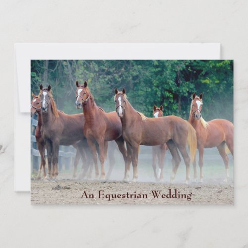 Formal An Equestrian Wedding Invitation Horse Love