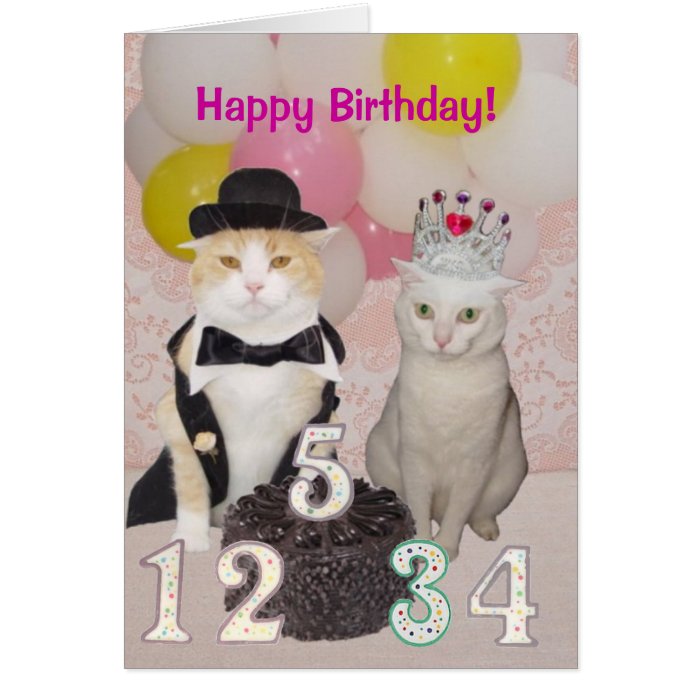 Formal Cats Birthday Card